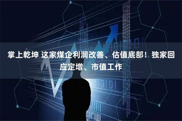 掌上乾坤 这家煤企利润改善、估值底部！独家回应定增、市值工作