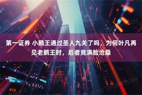 第一证券 小鹏王通过圣人九关了吗，为何叶凡再见老鹏王时，后者竟满脸沧桑
