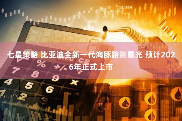 七星策略 比亚迪全新一代海豚路测曝光 预计2026年正式上市