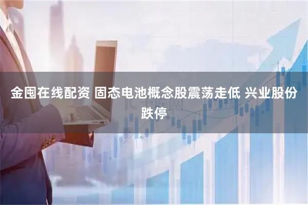 金囤在线配资 固态电池概念股震荡走低 兴业股份跌停