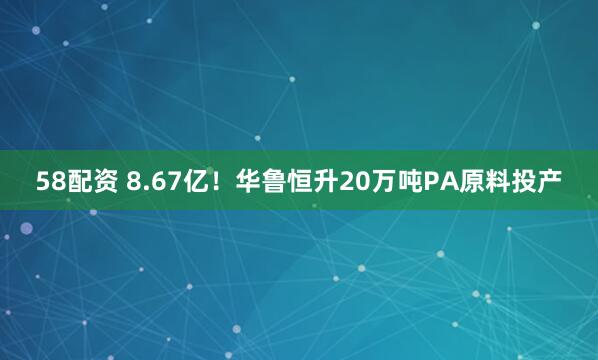 58配资 8.67亿！华鲁恒升20万吨PA原料投产