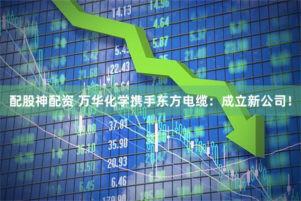 配股神配资 万华化学携手东方电缆：成立新公司！
