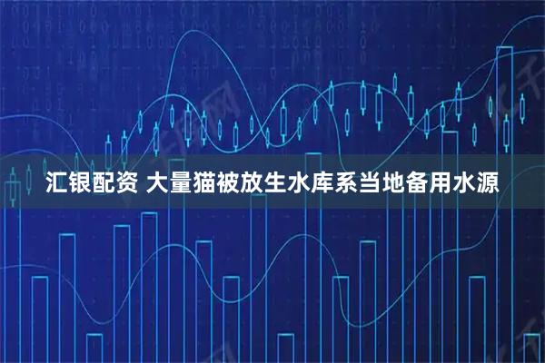 汇银配资 大量猫被放生水库系当地备用水源